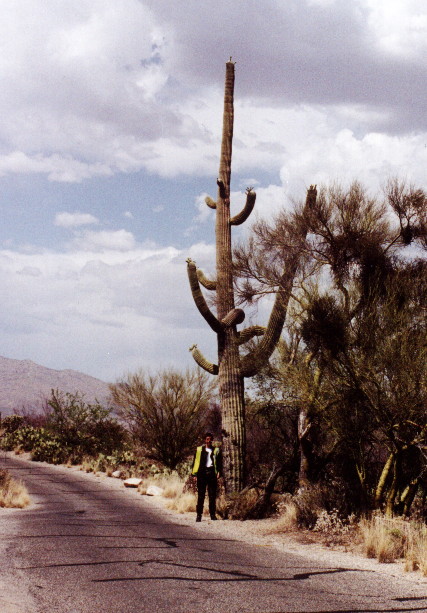 cactus.JPG