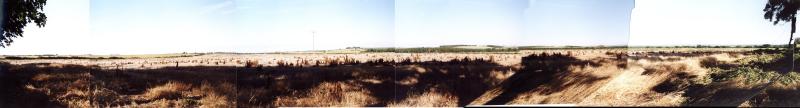 panorama.JPG (18810 bytes)